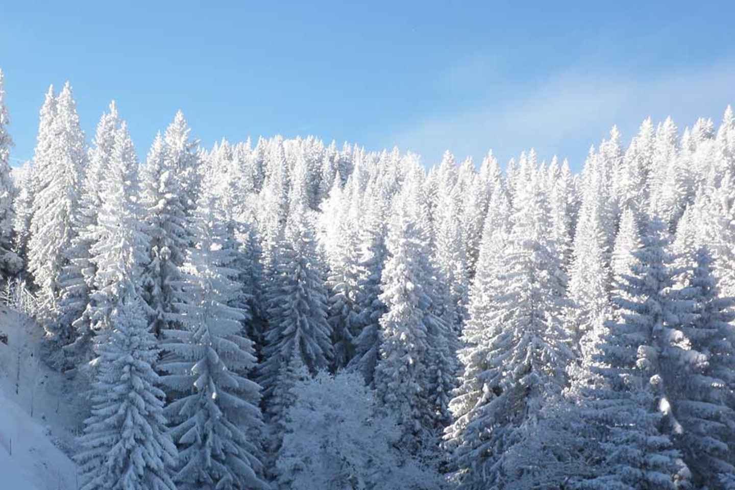Sarajevo: Ólympíuleikar '84 & Vrelo Bosne Dagsferð