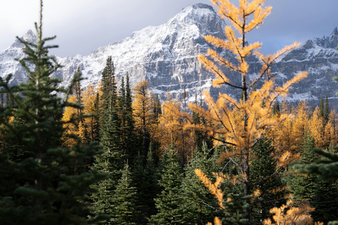 Banff Fall Tour: Lakes, Mountains, Falls & Autumn Views