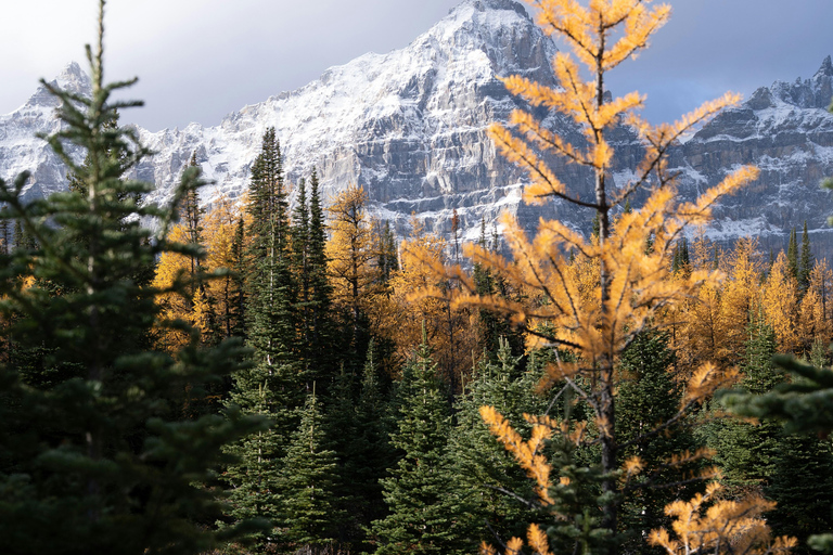 Banff Fall Tour: Lakes, Mountains, Falls & Autumn Views