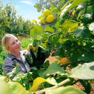Algarve: targ Silves Farmers Market i prywatna wycieczka do sadu