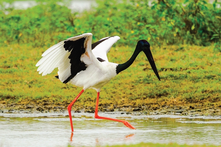 From Colombo: Five-Day Private Wildlife Photography Tour From Galle