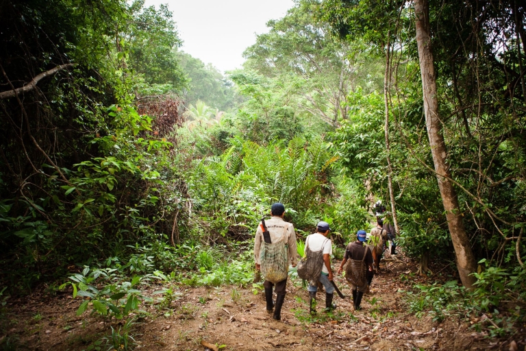 Z Kolombo: pięciodniowa prywatna wycieczka po fotografowaniu dzikiej przyrodyZ Beruwali