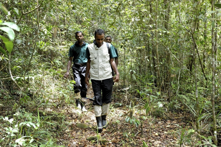 De Colombo: visite privée de cinq jours de photographie de la fauneDe Negombo