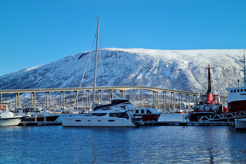 Tromsø: Private Katamaran-Kreuzfahrt auf dem arktischen Fjord