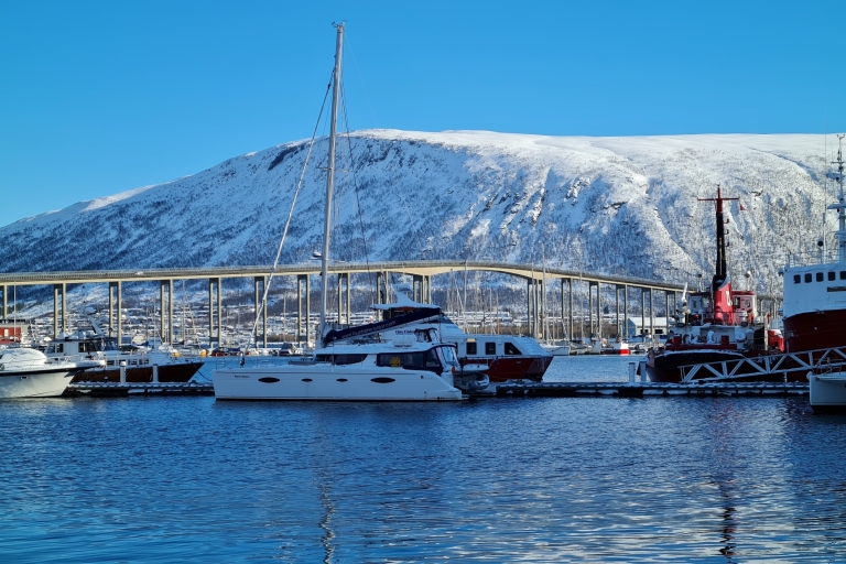 Tromsø: Arctic Fjord Private Catamaran Cruise
