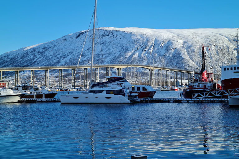 Tromsø : croisière privée en catamaran dans le fjord arctique