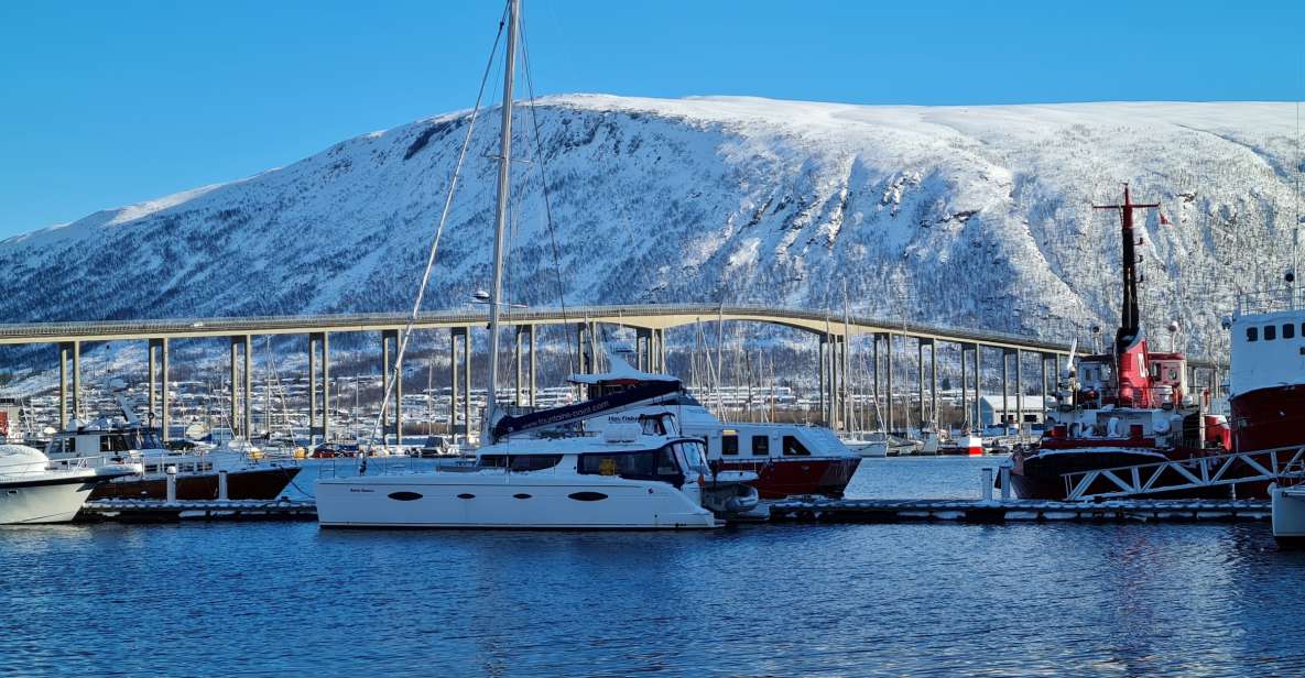 Tromsø: Arctic Fjord & Fishing Tour by Luxury Catamaran