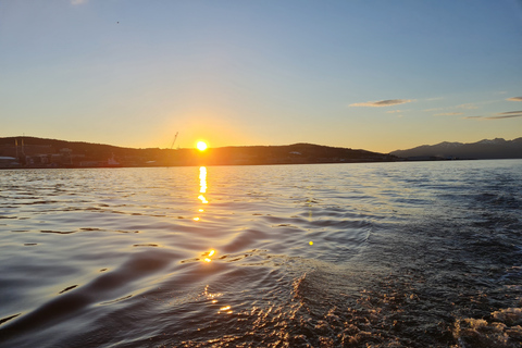 Tromsø: Arctic Fjord privé catamarancruise