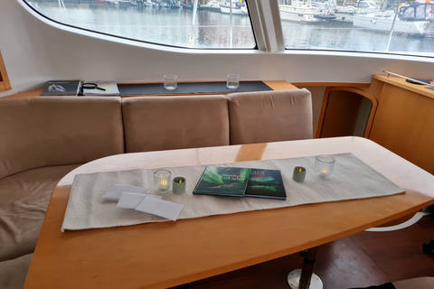 Tromsø: crucero privado en catamarán por el fiordo ártico