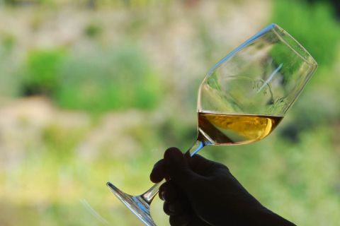 Manarola: Degustacja wina Cinque Terre