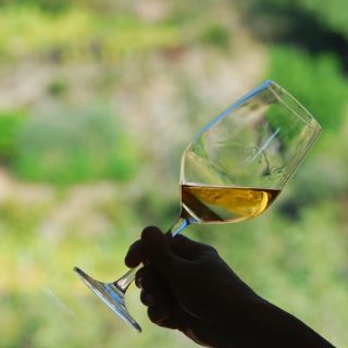 Manarola: degustazione di vini delle Cinque Terre