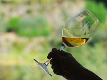 Manarola: Cinque Terre Wine Tasting