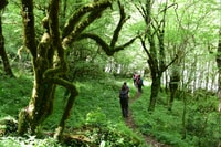 Zagori, VIKOS GOGGE GUIDA GUIDA ESCITA - Housity