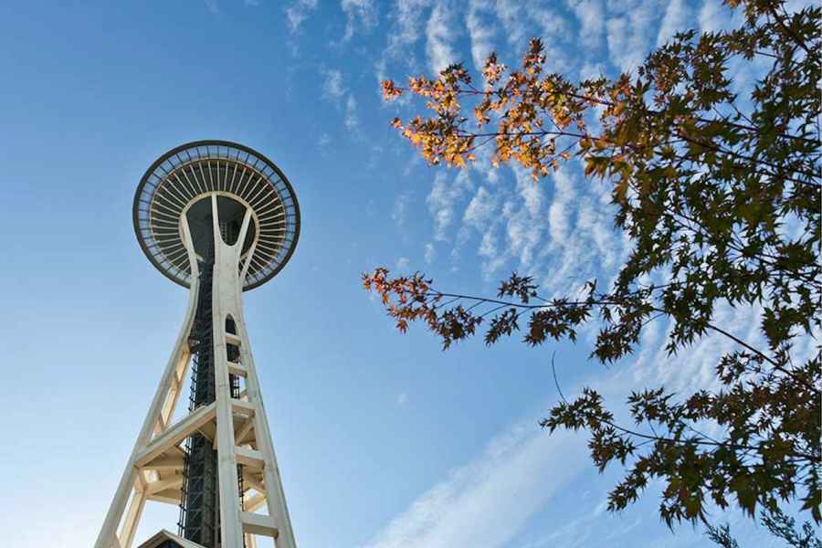 Seattle: Space Needle & Chihuly Garden and Glass Ticket