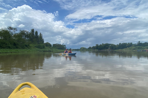 Chiang Mai: Natura e campagna in bicicletta per un'intera giornataVisita guidata in inglese