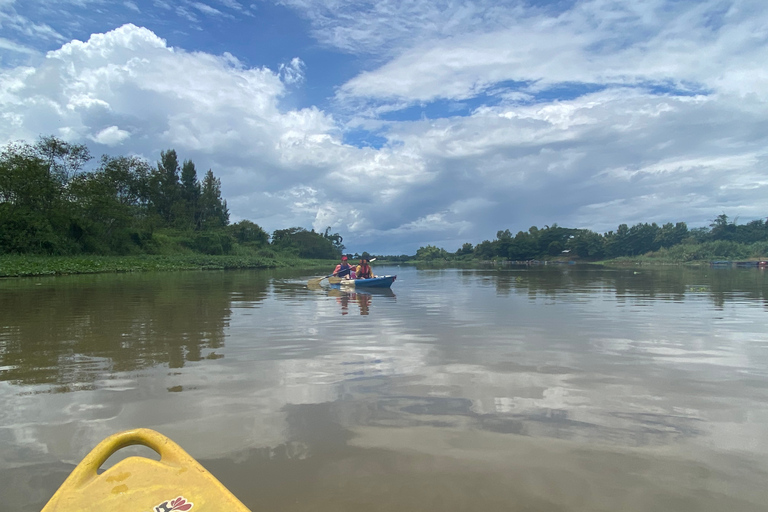 Chiang Mai: Natura e campagna in bicicletta per un'intera giornataVisita guidata in inglese