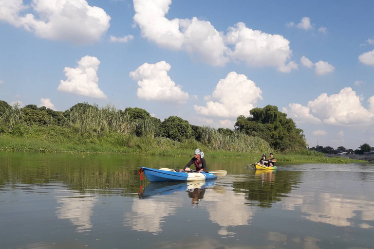 Chiang Mai: Natura e campagna in bicicletta per un'intera giornataVisita guidata in inglese