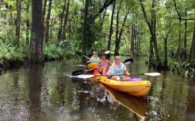 Jupiter: Loxahatchee River Scenic Kayak Tour