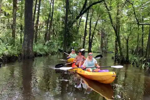 Jupiter: Loxahatchee River Scenic Kayak Tour