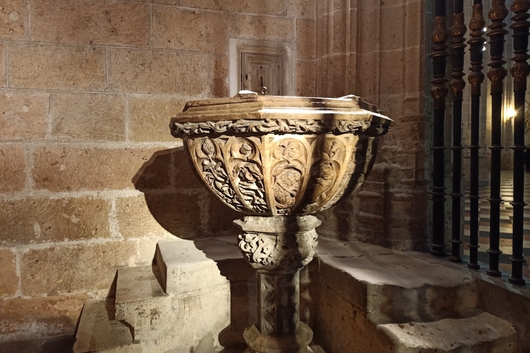 Segovia: begeleide stadswandeling met de kathedraal van SegoviaSegovia: begeleide wandeling met kathedraal in het Spaans