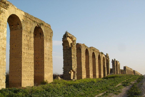 Au départ de Tunis : excursion d&#039;une journée à Testour, Dougga et Zaghouane