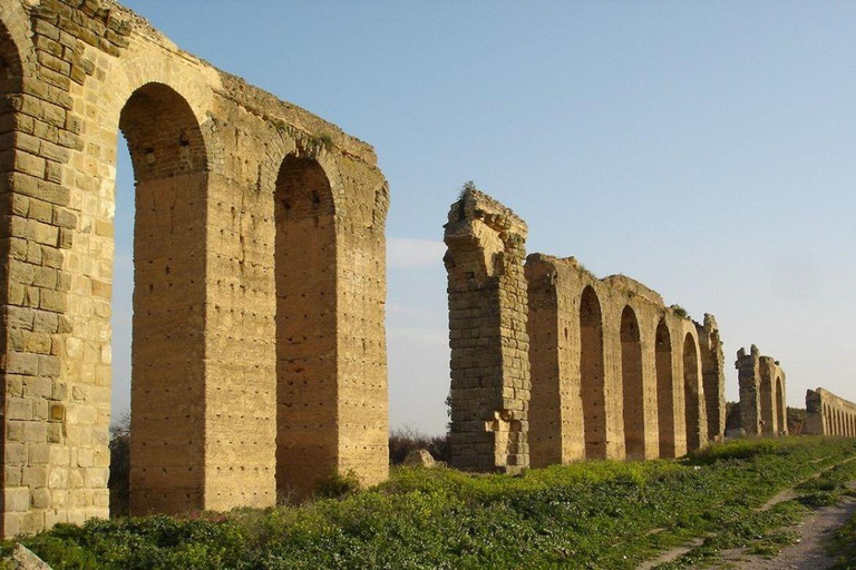 Au départ de Tunis : excursion d&#039;une journée à Testour, Dougga et Zaghouane