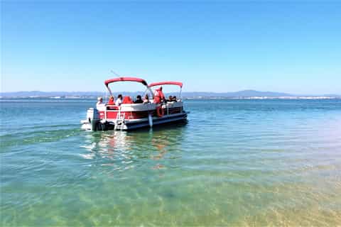 Faro: Passeio de Catamarã Ilhas de Faro e Ria Formosa