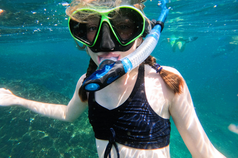 De Dubai: Snorkeling em Fujairah com tartarugas, traslado e churrasco