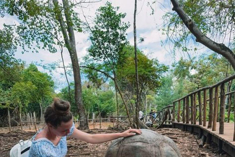 Zanzibar: prywatna wycieczka z wyspą więzienną i farmą przypraw