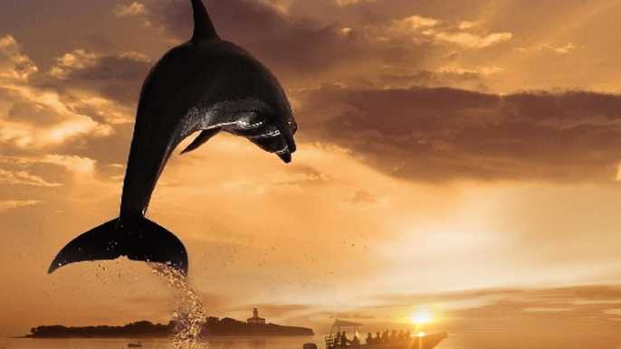 Alcúdia: crucero de 3 h con avistamiento de delfines