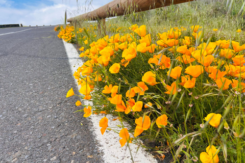South Tenerife: Off-the-beaten-track buggy adventure South Tenerife: Full-Day Self-Drive Buggy Experience