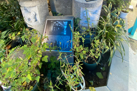 جولة سيرًا على الأقدام في سوق تسوكيجي للأسماك القديم