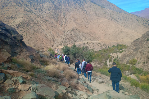 Marrakesh: Ourika valley, Berber Villages, & Atlas Mountains