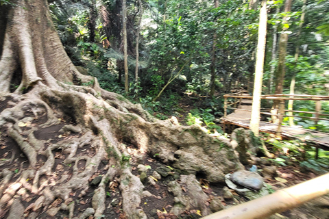 Hidden Valley Springs | Lunch | Taal Volcano Viewing (2in1)