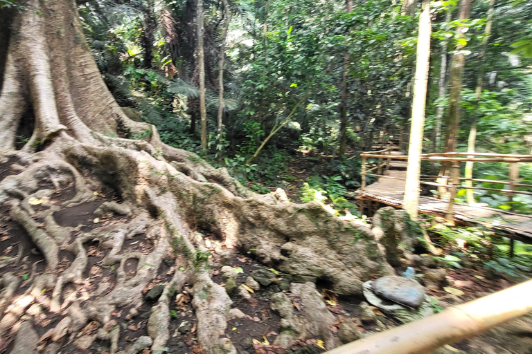 Hidden Valley Springs | Lunch | Taal Volcano Viewing (2in1)