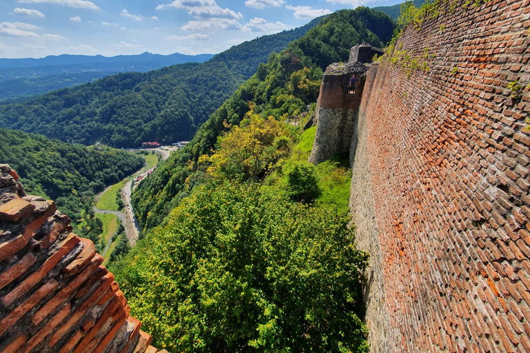 Desde Bucarest: tour privado de día completo de DráculaOpción estándar