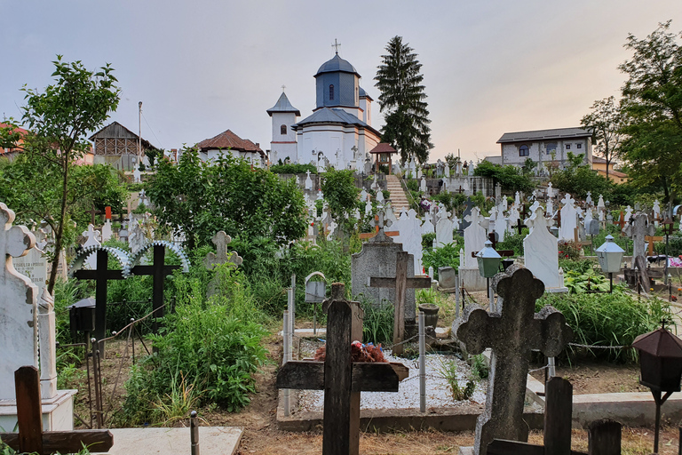 From Bucharest: Dracula Full-Day Private Tour Standard option