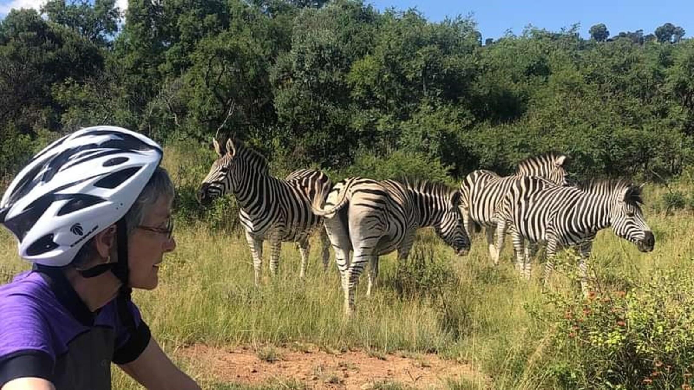 Von Pretoria aus: Mit dem E-Bike in der Wildnis bei Jo'burg