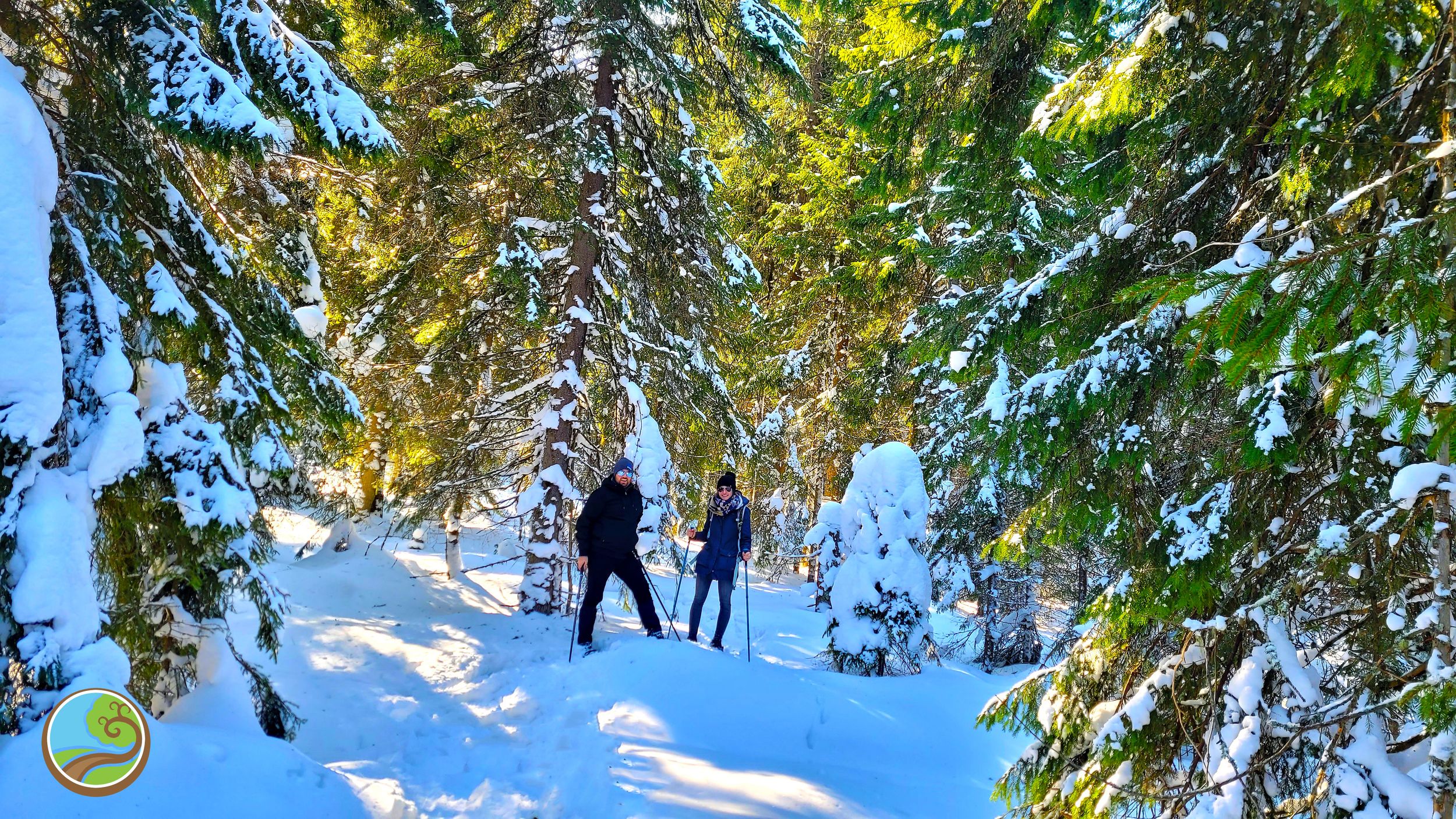 Ab Cluj: Winterwanderung auf dem Großen Berg