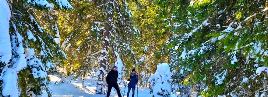 Depuis Cluj : randonnée hivernale sur la Grande Montagne