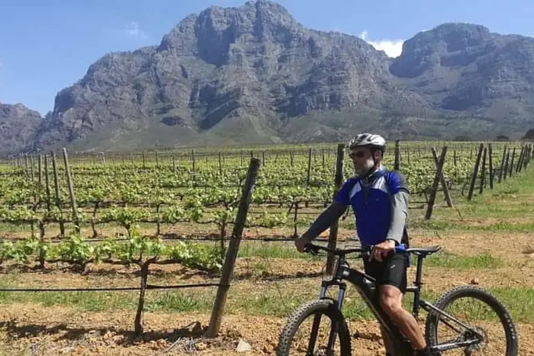 Desde Ciudad del Cabo: tour en bicicleta eléctrica de Cape Winelands con almuerzo y vino