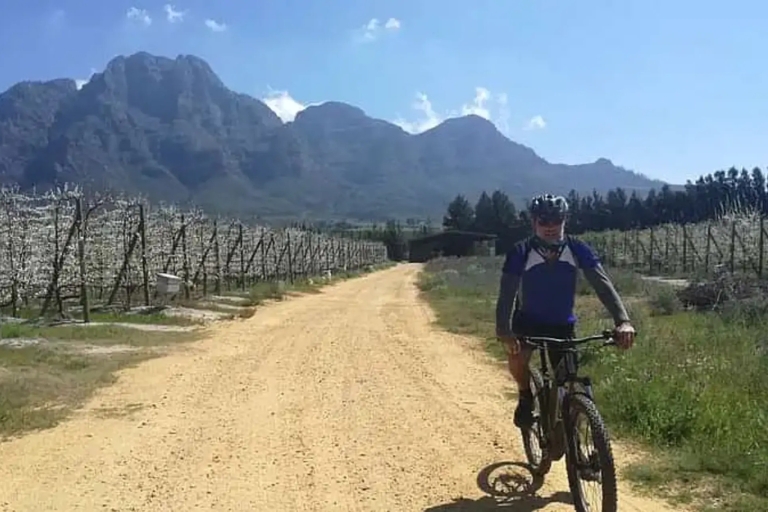 De Cape Town: Cape Winelands E-Bike Tour avec déjeuner et vin