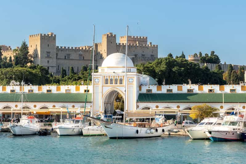 rhodes tour guide