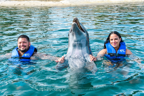 Puerto Plata: parc d'aventures Ocean World, nage avec les dauphins