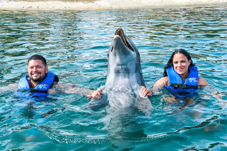 Puerto Plata: Parco Avventura Ocean World Nuota con i delfiniPuerto Plata: Ocean World Adventure Park Nuota con i delfini