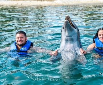 Puerto Plata: Parco Avventura Ocean World Nuota con i delfini