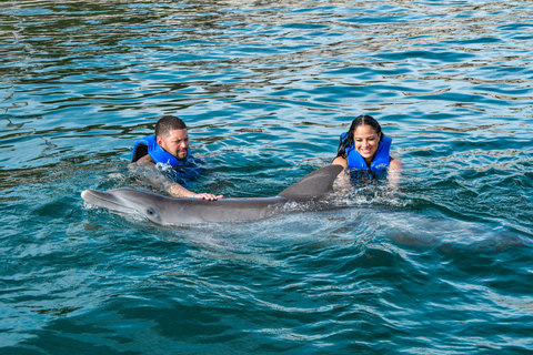 Puerto Plata: parc d'aventures Ocean World, nage avec les dauphins