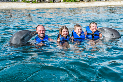 Puerto Plata: parc d'aventures Ocean World, nage avec les dauphins