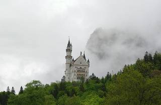 Bild: München: Schloss Neuschwanstein Tour