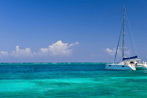 Découvrez l'île Maurice : Observation des dauphins, plongée en apnée, déjeuner barbecue